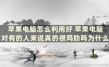 苹果电脑怎么利用好 苹果电脑对有的人来说真的很鸡肋吗为什么